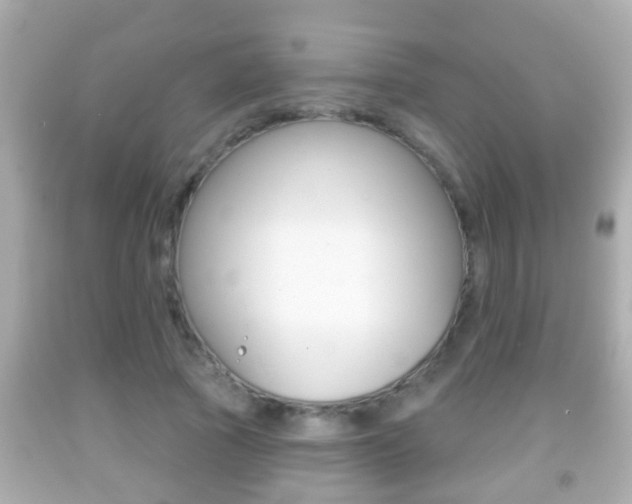 X0000092040737200709121005