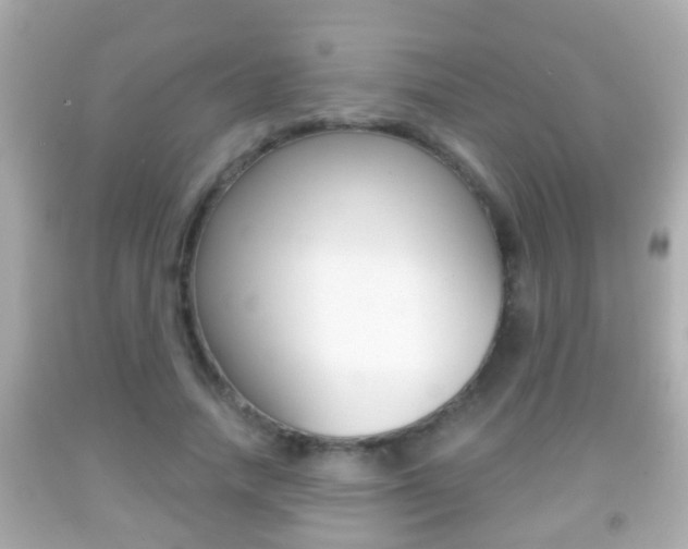 X0000092040738200709121005