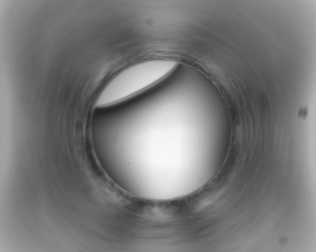 X0000092040739200709121005