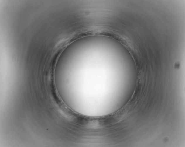 X0000092040740200709121005