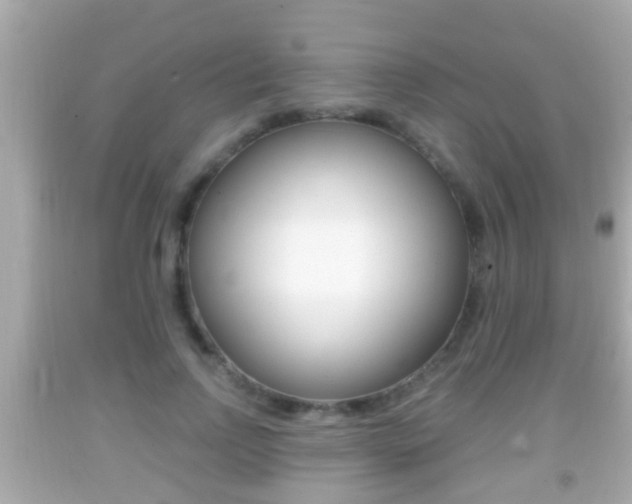 X0000092040742200709121005
