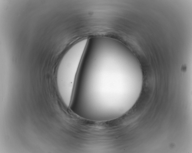 X0000092040743200709121005