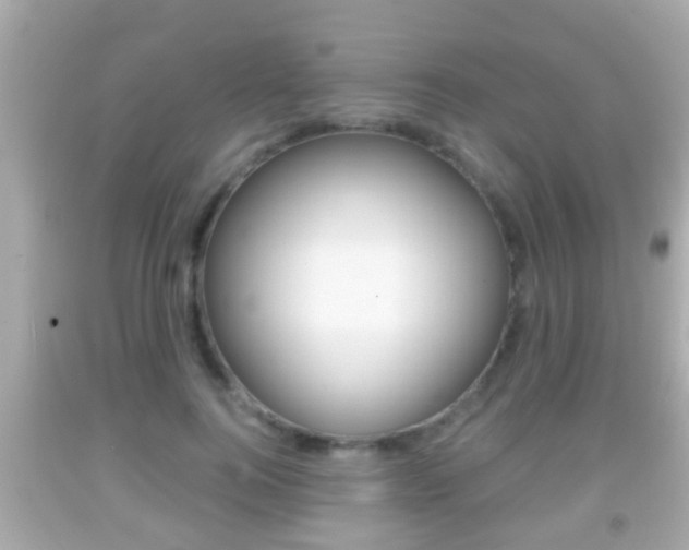 X0000092040744200709121005