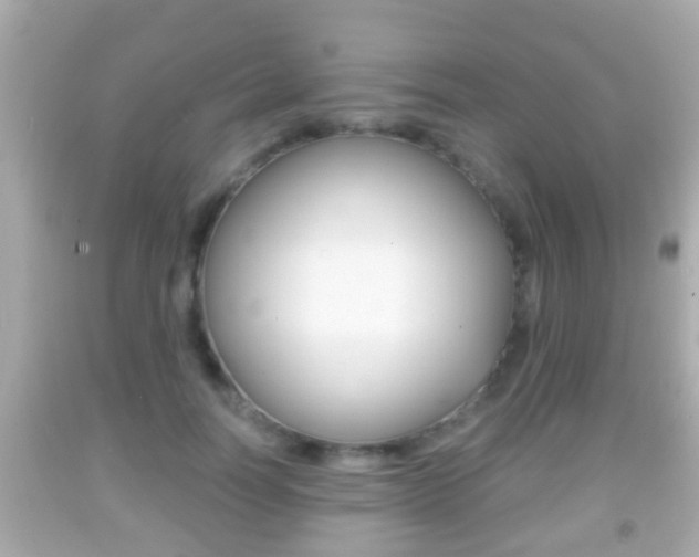 X0000092040746200709121005