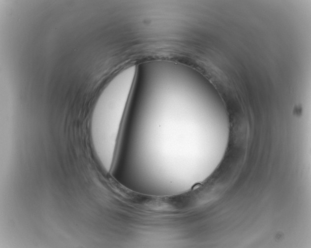 X0000092040747200709121005