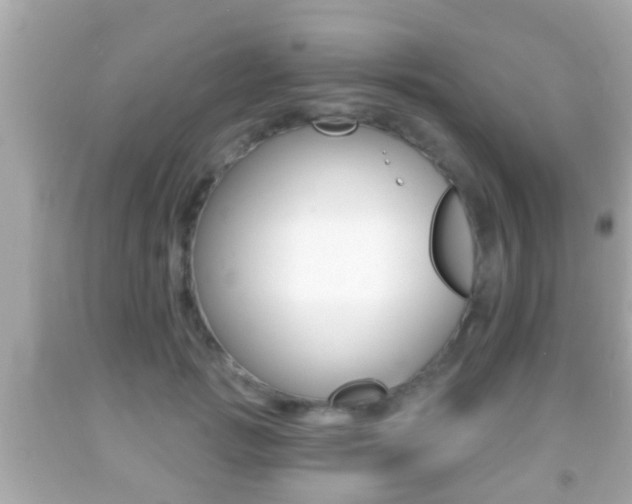 X0000092040749200709121005