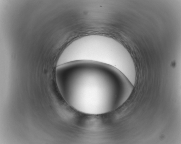 X0000092040750200709121005