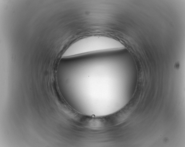 X0000092040751200709121005