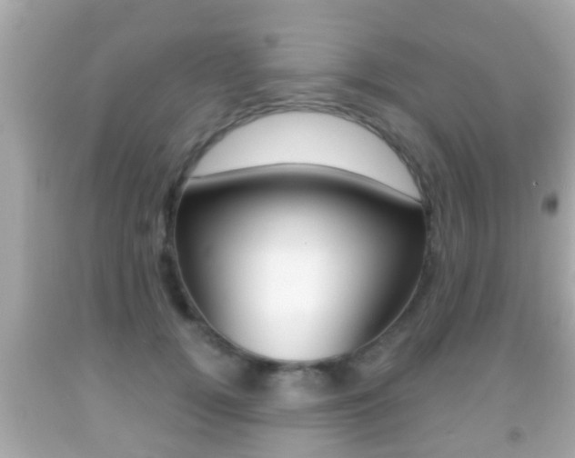 X0000092040752200709121005