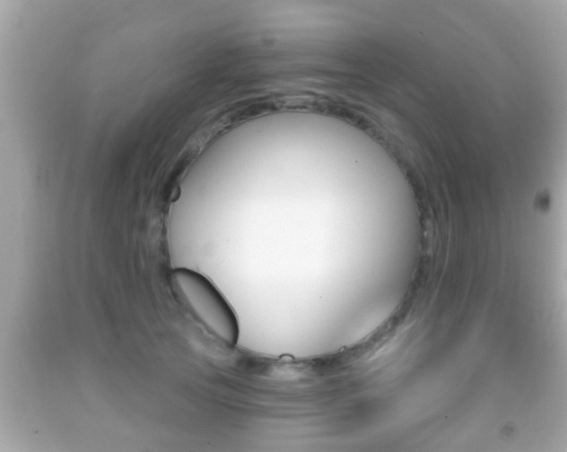 X0000092040753200709121005