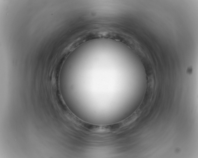 X0000092040754200709121005