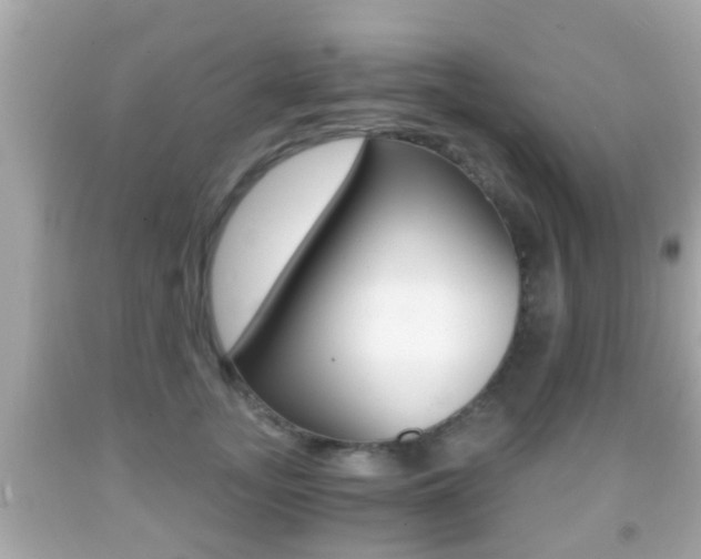 X0000092040755200709121005