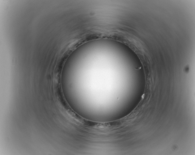 X0000092040756200709121005