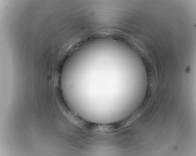 X0000092040758200709121005