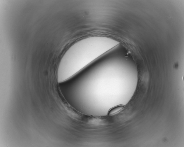 X0000092040759200709121005