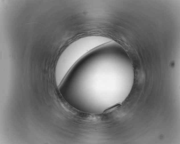 X0000092040760200709121005