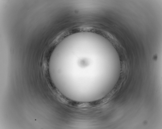 X0000092040761200709121005