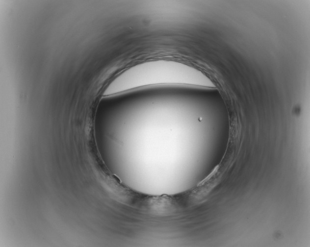 X0000092040762200709121005