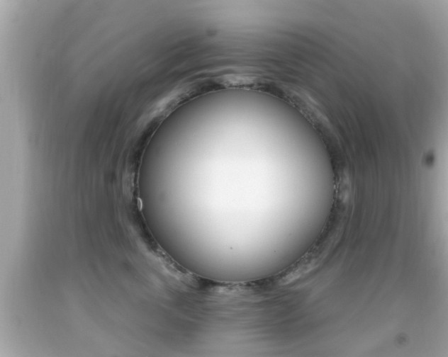 X0000092040763200709121005