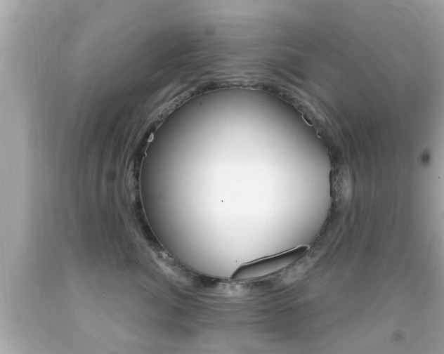X0000092040764200709121005