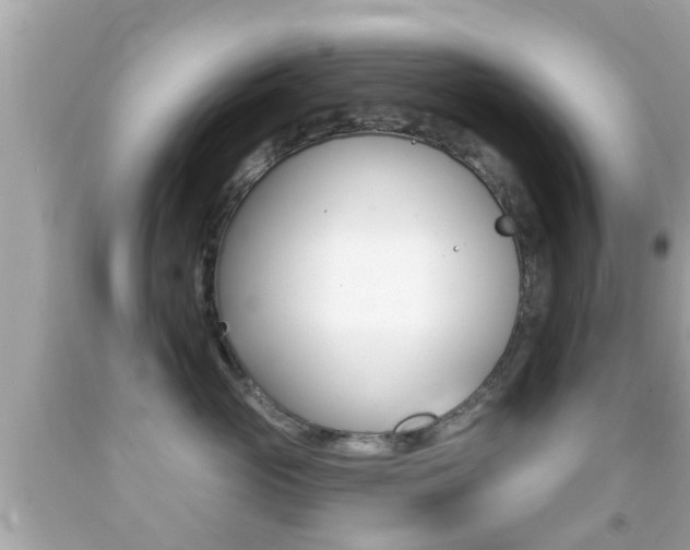 X0000092040765200709121005