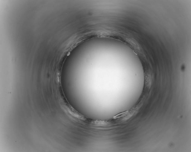 X0000092040766200709121005