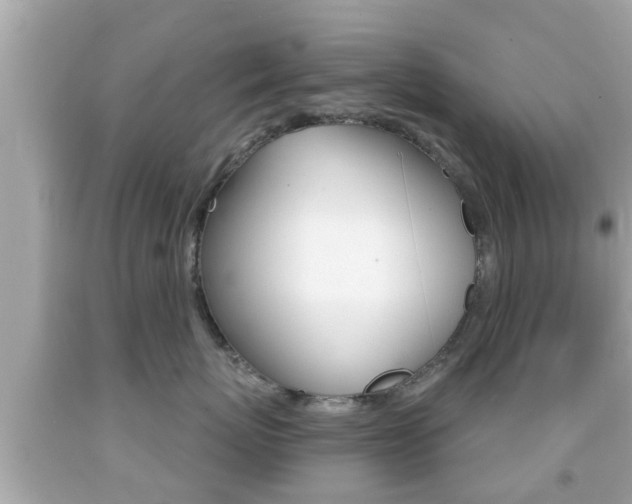 X0000092040767200709121005