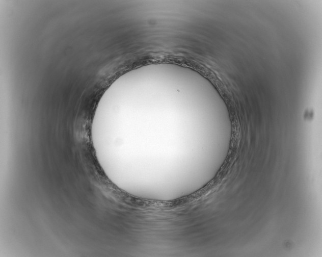 X0000092040770200709121004