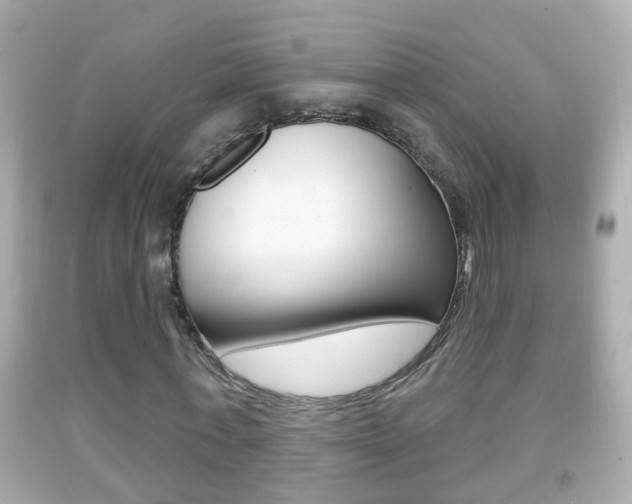 X0000092040771200709121004