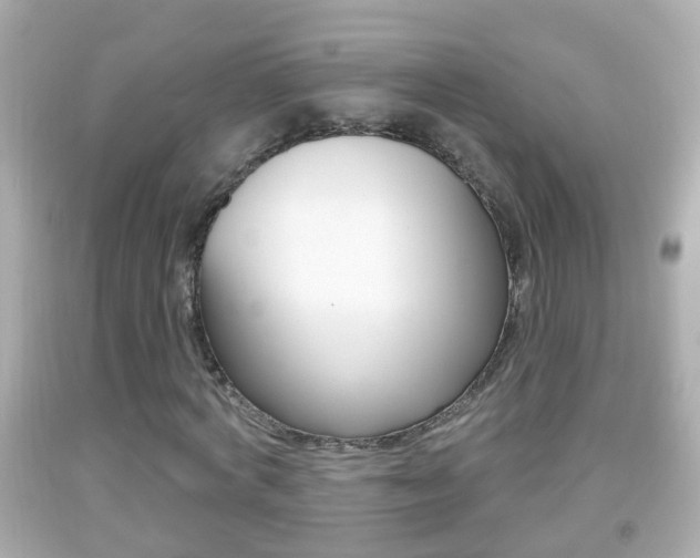 X0000092040772200709121004