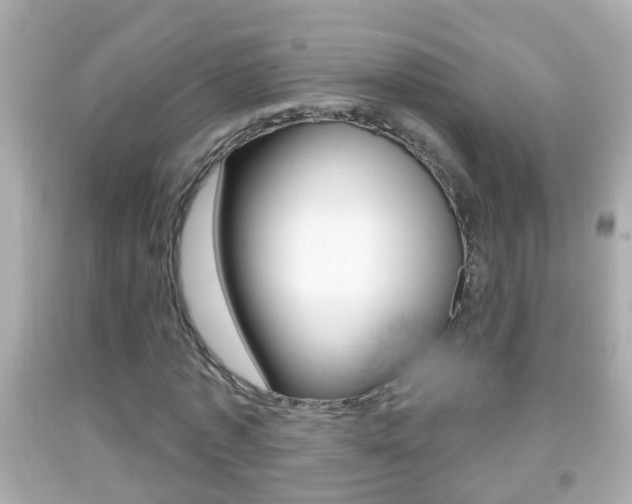 X0000092040773200709121004