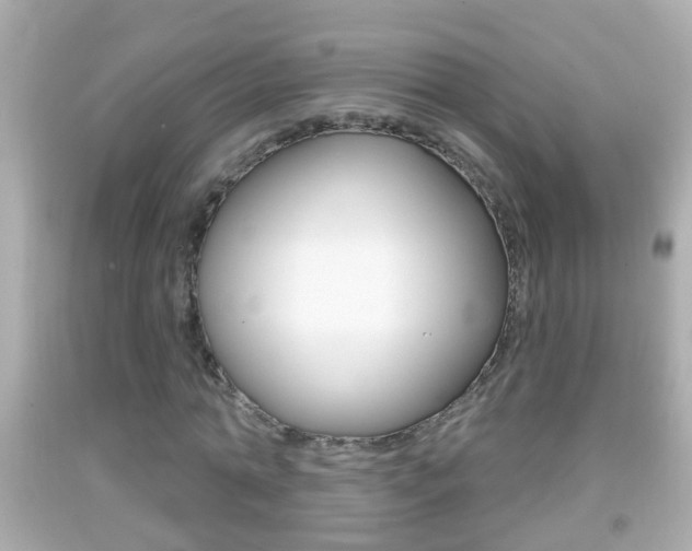 X0000092040774200709121004
