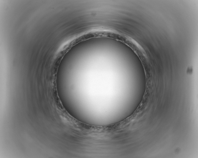 X0000092040775200709121004