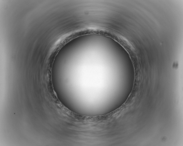 X0000092040776200709121004