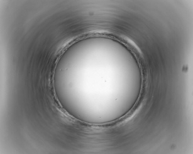 X0000092040777200709121004