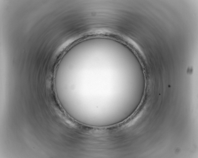 X0000092040778200709121004
