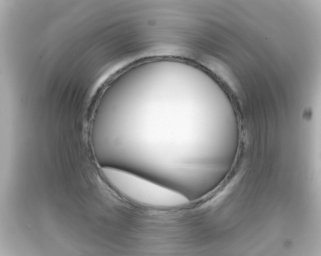 X0000092040781200709121004