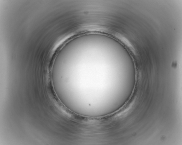 X0000092040782200709121004