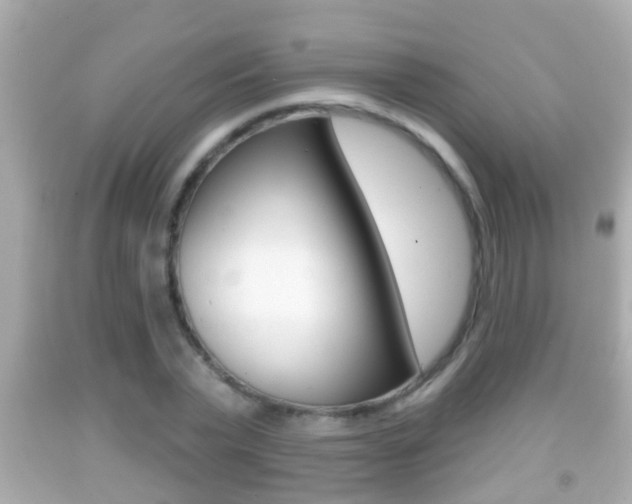 X0000092040783200709121004