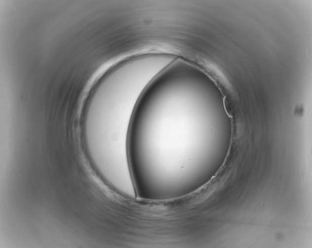 X0000092040784200709121004
