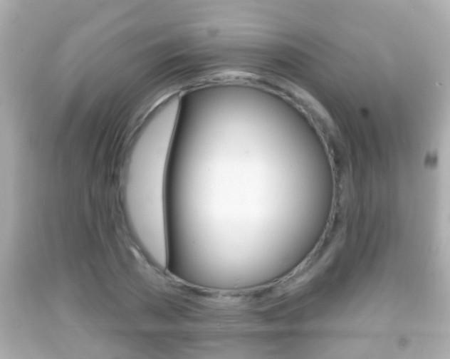 X0000092040785200709121004