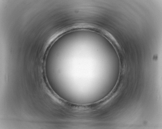 X0000092040786200709121004