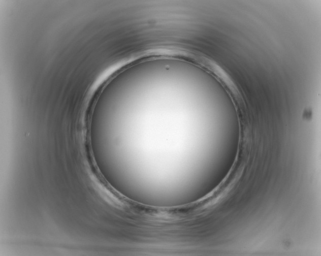 X0000092040787200709121004