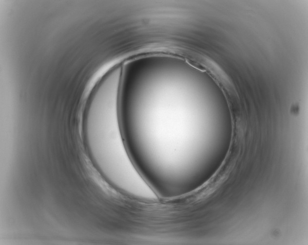 X0000092040788200709121004