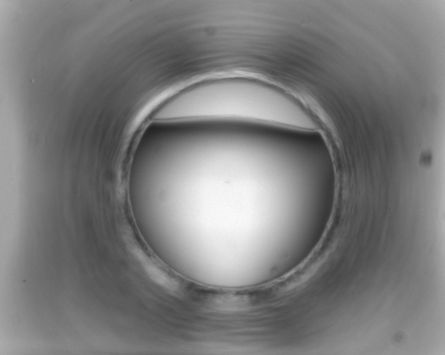 X0000092040789200709121004