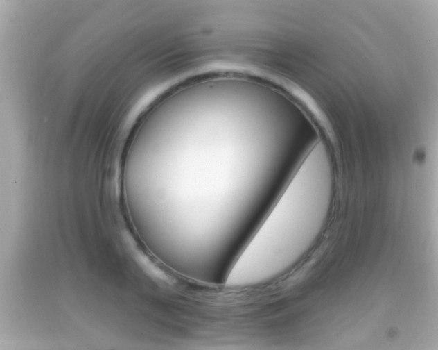 X0000092040791200709121004