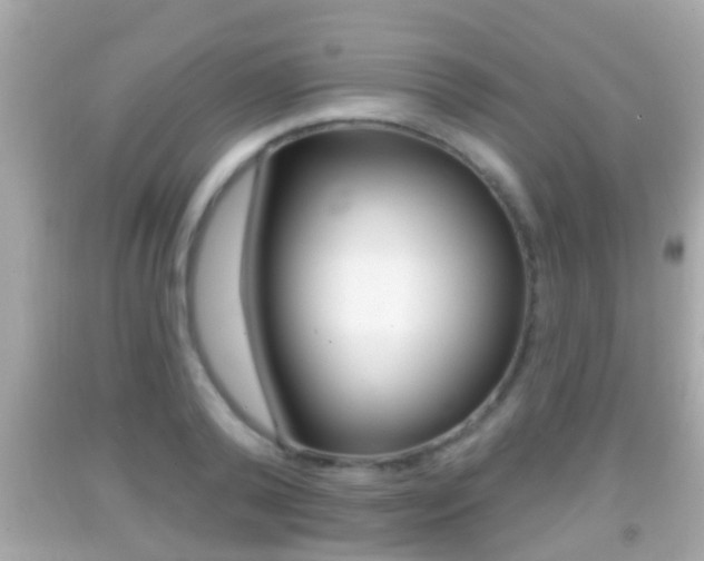X0000092040792200709121004