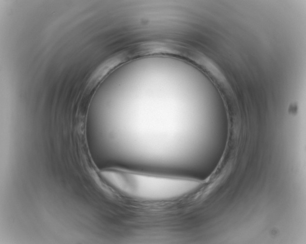 X0000092040793200709121004