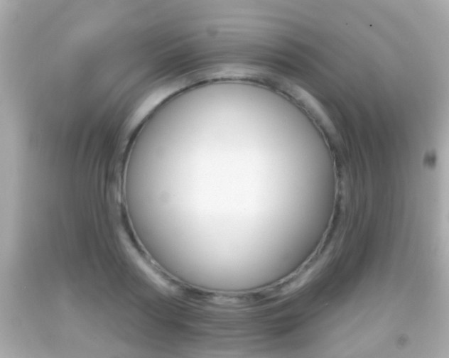 X0000092040794200709121004