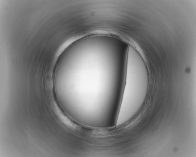 X0000092040795200709121004